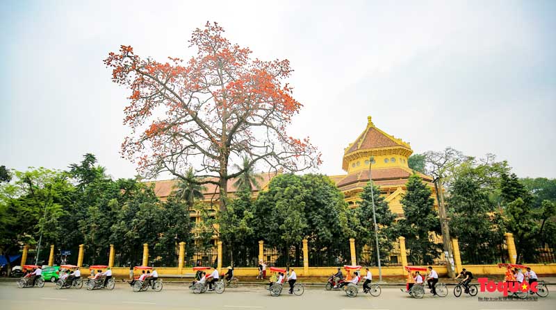 Bảo Tàng Lịch Sử Quốc gia Việt Nam